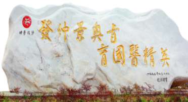 医德铸魂 医术筑基 —— 郑州仲景国医学校 数十载坚守医德教育的传承与超越